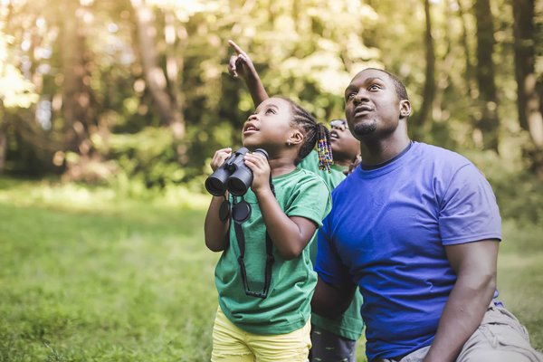 Comment camper en respectant la faune et la flore dans une réserve naturelle?
