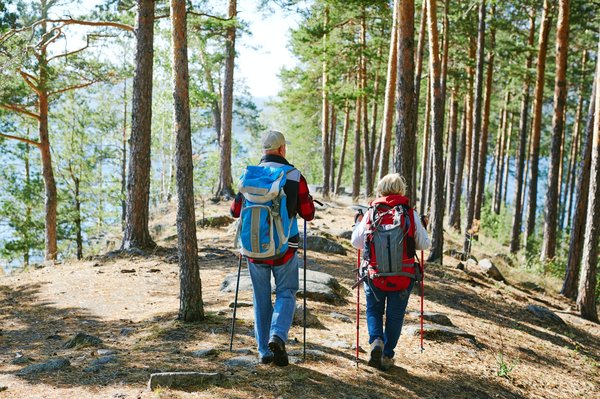 Quels sont les plus beaux treks pour découvrir les fjords de Norvège?